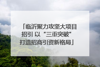 临沂聚力攻坚大项目招引 以“三重突破”打造招商引资新格局