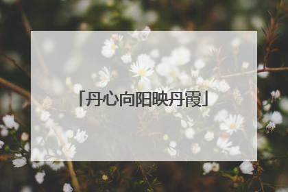 丹心向阳映丹霞