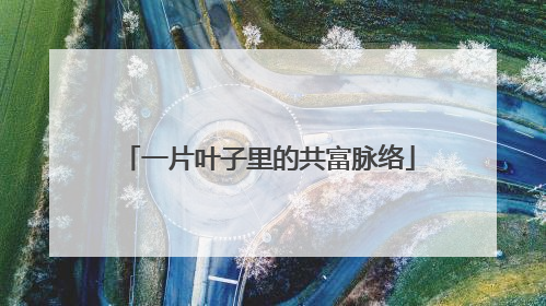 一片叶子里的共富脉络