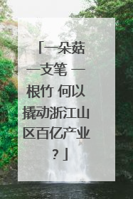 一朵菇 一支笔 一根竹 何以撬动浙江山区百亿产业？