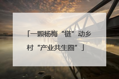 一颗杨梅“链”动乡村“产业共生圈”