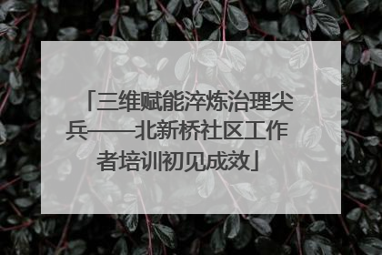 三维赋能淬炼治理尖兵——北新桥社区工作者培训初见成效