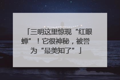 三明这里惊现“红眼蝉”！它很神秘，被誉为“最美知了”