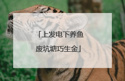 上发电下养鱼 废坑塘巧生金