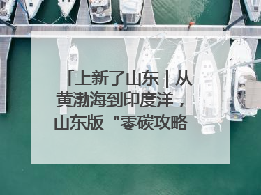 上新了山东｜从黄渤海到印度洋，山东版“零碳攻略”有多能打？