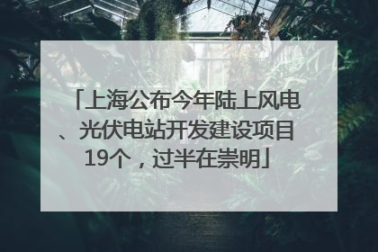 上海公布今年陆上风电、光伏电站开发建设项目19个，过半在崇明