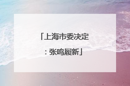 上海市委决定：张鸣履新