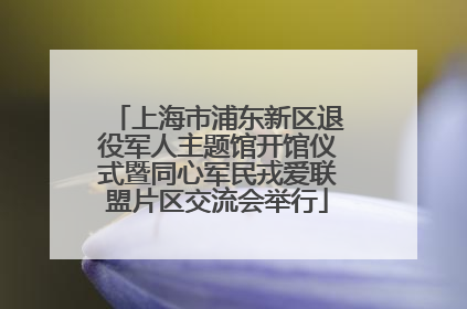 上海市浦东新区退役军人主题馆开馆仪式暨同心军民戎爱联盟片区交流会举行
