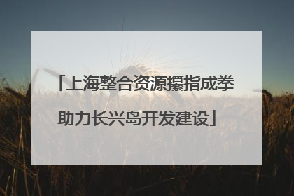 上海整合资源攥指成拳助力长兴岛开发建设