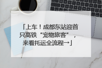 上车！成都东站迎首只高铁“宠物旅客”，来看托运全流程→