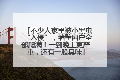 不少人家里被小黑虫“入侵”，墙壁窗户全部爬满！一到晚上更严重，还有一股臭味