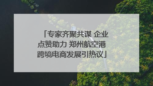 专家齐聚共谋 企业点赞助力 郑州航空港跨境电商发展引热议