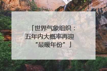 世界气象组织：五年内大概率再迎“最暖年份”