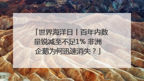 世界海洋日丨百年内数量锐减至不足1% 非洲企鹅为何迅速消失？