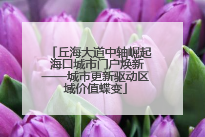 丘海大道中轴崛起 海口城市门户焕新——城市更新驱动区域价值蝶变