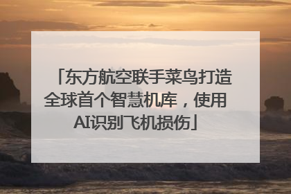 东方航空联手菜鸟打造全球首个智慧机库，使用AI识别飞机损伤