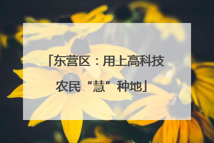 东营区：用上高科技 农民“慧”种地
