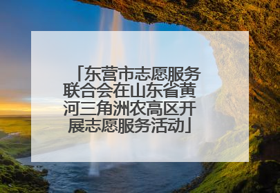 东营市志愿服务联合会在山东省黄河三角洲农高区开展志愿服务活动