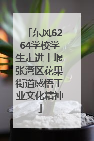 东风6264学校学生走进十堰张湾区花果街道感悟工业文化精神