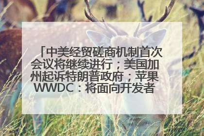 中美经贸磋商机制首次会议将继续进行；美国加州起诉特朗普政府；苹果WWDC：将面向开发者推出苹果智能模型；中办、国办发文，事关民生丨每经早参