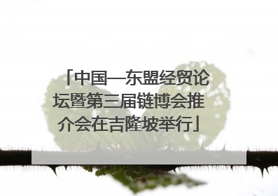 中国—东盟经贸论坛暨第三届链博会推介会在吉隆坡举行