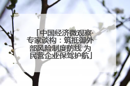 中国经济微观察·专家谈构：筑抵御外部风险制度防线 为民营企业保驾护航
