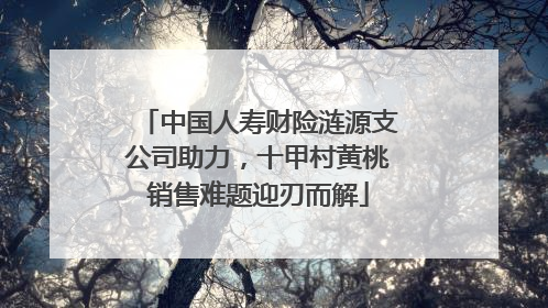 中国人寿财险涟源支公司助力，十甲村黄桃销售难题迎刃而解