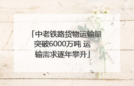 中老铁路货物运输量突破6000万吨 运输需求逐年攀升