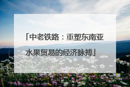 中老铁路：重塑东南亚水果贸易的经济脉搏