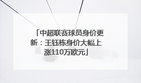 中超联赛球员身价更新：王钰栋身价大幅上涨110万欧元