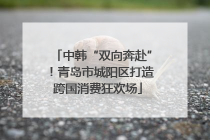 中韩“双向奔赴”！青岛市城阳区打造跨国消费狂欢场