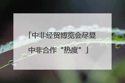 中非经贸博览会尽显中非合作“热度”