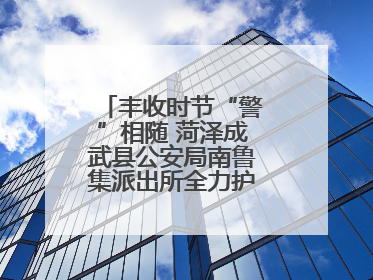 丰收时节“警”相随 菏泽成武县公安局南鲁集派出所全力护航大蒜收获季