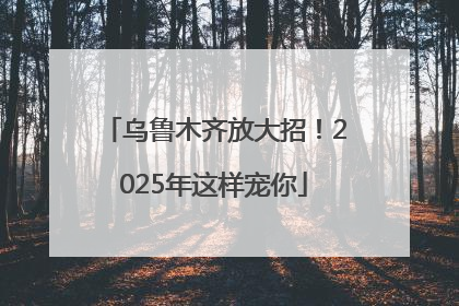 乌鲁木齐放大招！2025年这样宠你