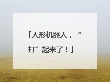 人形机器人，“打”起来了！