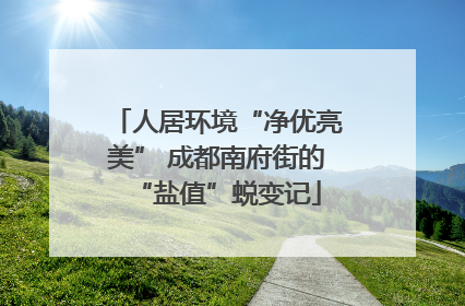 人居环境“净优亮美” 成都南府街的“盐值”蜕变记