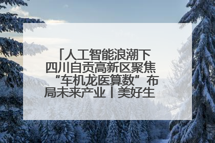 人工智能浪潮下 四川自贡高新区聚焦“车机龙医算数”布局未来产业丨美好生活有“盐”味