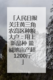 人民日报关注黄三角农高区种粮大户：用上新品种 盐碱地亩产超1200斤
