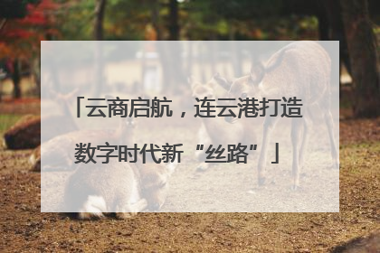 云商启航，连云港打造数字时代新“丝路”