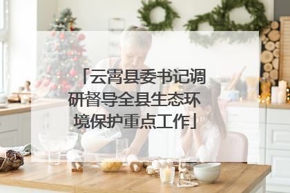 云霄县委书记调研督导全县生态环境保护重点工作