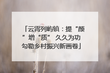 云霄列屿镇：提“颜”增“质” 久久为功勾勒乡村振兴新画卷