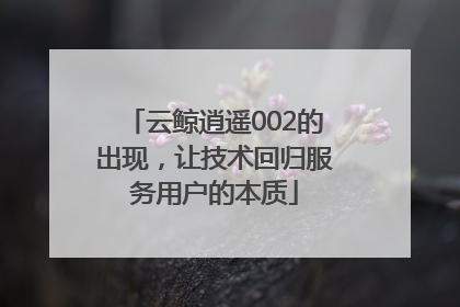 云鲸逍遥002的出现，让技术回归服务用户的本质