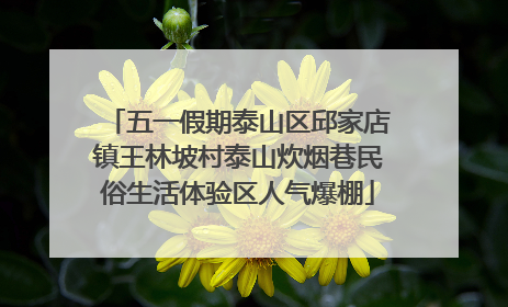 五一假期泰山区邱家店镇王林坡村泰山炊烟巷民俗生活体验区人气爆棚