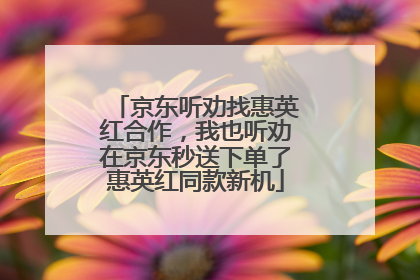 京东听劝找惠英红合作，我也听劝在京东秒送下单了惠英红同款新机