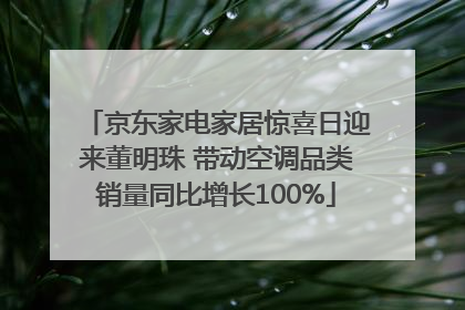 京东家电家居惊喜日迎来董明珠 带动空调品类销量同比增长100%