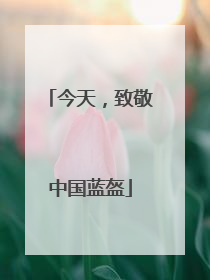 今天，致敬中国蓝盔