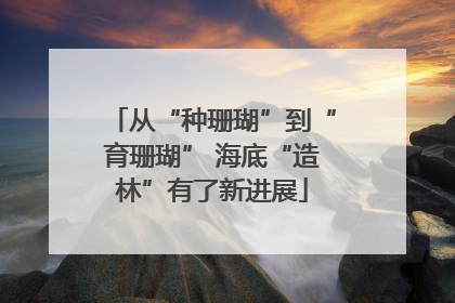从“种珊瑚”到“育珊瑚” 海底“造林”有了新进展