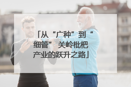 从“广种”到“细管” 关岭枇杷产业的跃升之路