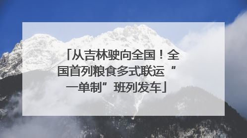 从吉林驶向全国！全国首列粮食多式联运“一单制”班列发车