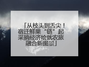 从枝头到舌尖！宿迁鲜果“链”起采摘经济绘就农旅融合新图景